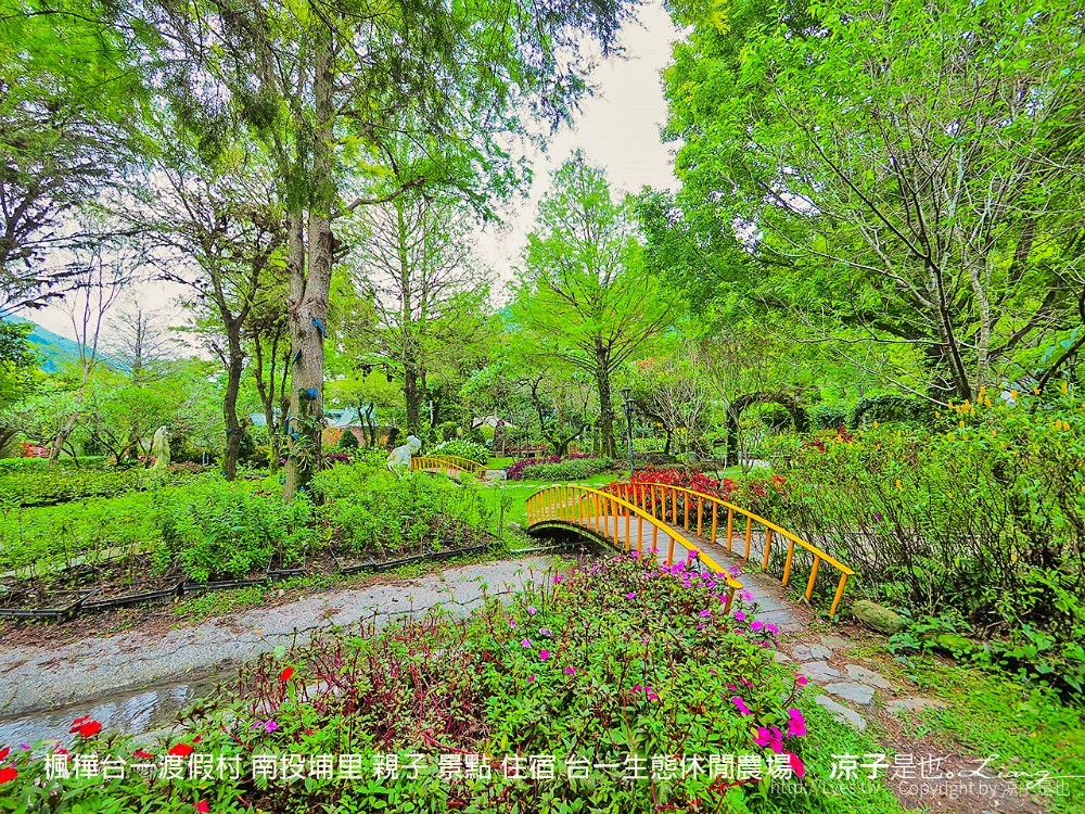 楓樺台一渡假村 南投埔里 親子 景點 住宿 台一生態休閒農場
