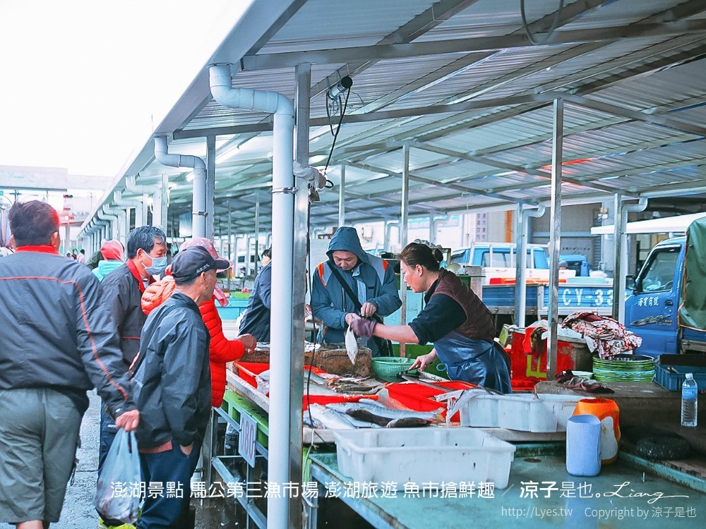 澎湖景點 馬公第三漁市場 澎湖旅遊 魚市搶鮮趣