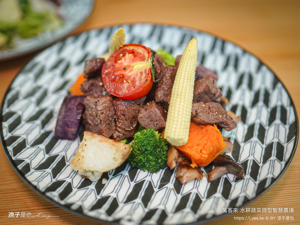 萬客來水耕蔬菜微型智慧農場 菜單 台南餐廳 台南美食 玻璃屋餐廳 台南景觀餐廳 早午餐