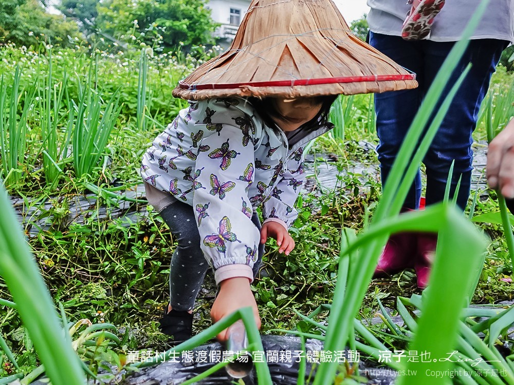 童話村生態渡假農場 宜蘭親子體驗活動