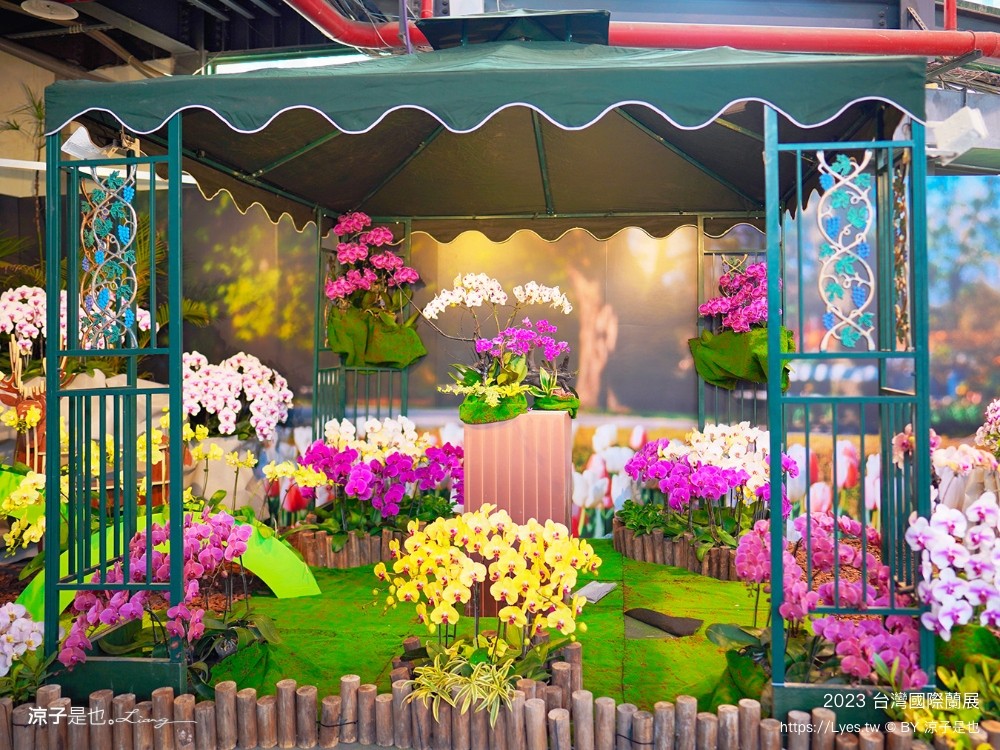 台灣國際蘭展 門票 2023時間 台南景點 魔境 恐龍 親子diy 必看亮點 台南限定蘭花