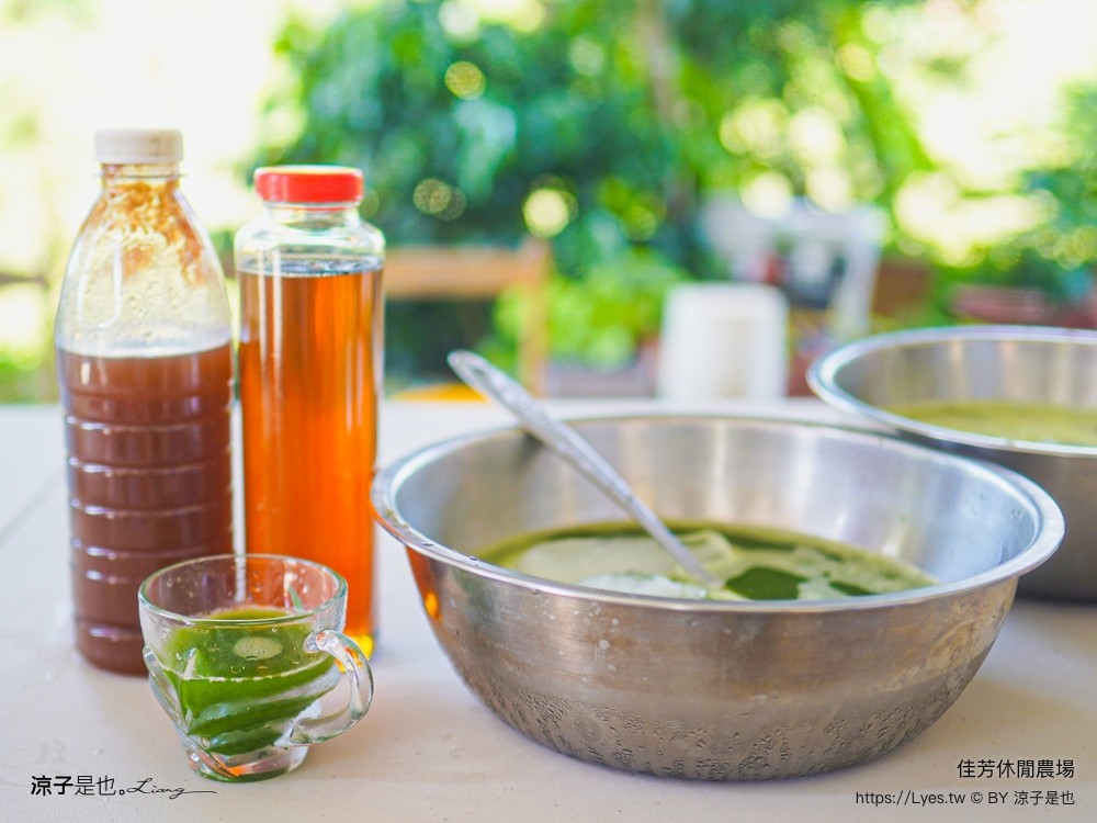 佳芳休閒茶園 台東景點 親子景點 初鹿景點 有機茶園 台東採茶 台東茶園 蛋捲diy體驗 台東一日遊