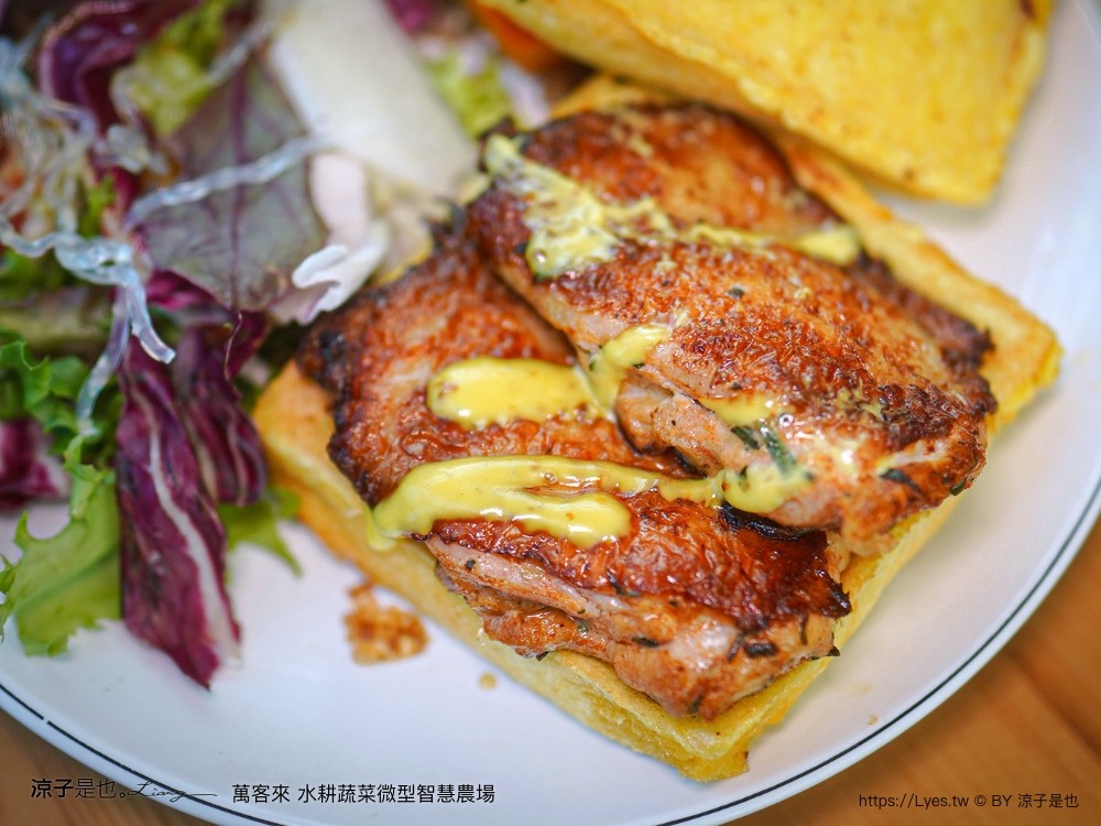 萬客來水耕蔬菜微型智慧農場 菜單 台南餐廳 台南美食 玻璃屋餐廳 台南景觀餐廳 早午餐