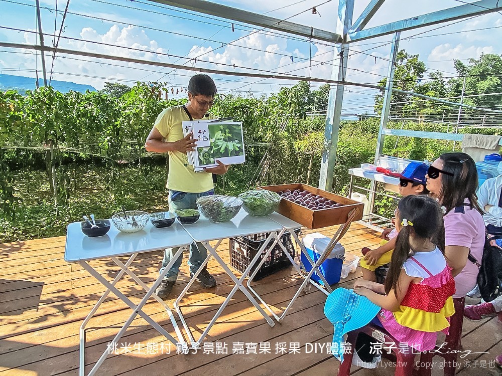 桃米生態村 親子景點 嘉寶果 採果 diy體驗