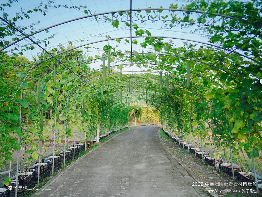 2022中臺灣 氣墊遊戲區 溜滑梯戲水池 農產品展售 美食小吃