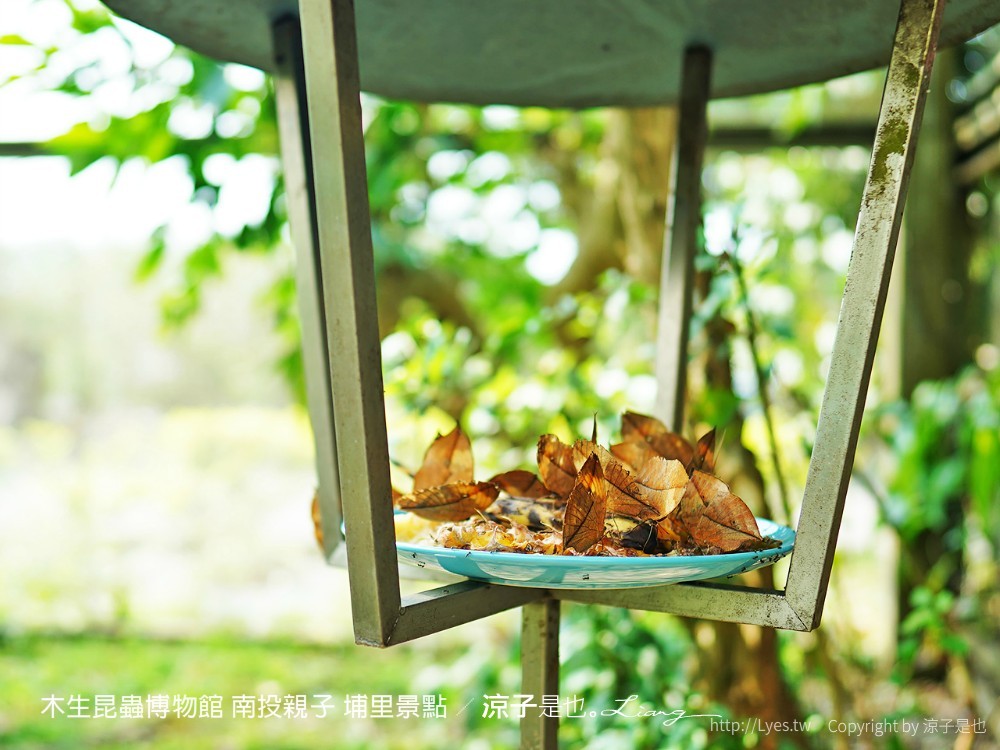 木生昆蟲博物館 南投親子 埔里景點