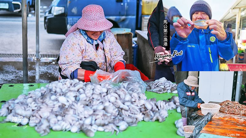 【澎湖景點】澎湖馬公第三漁市場 達人教你怎麼挑漁貨！澎湖魚市搶鮮趣 澎湖福朋喜來登酒店行程