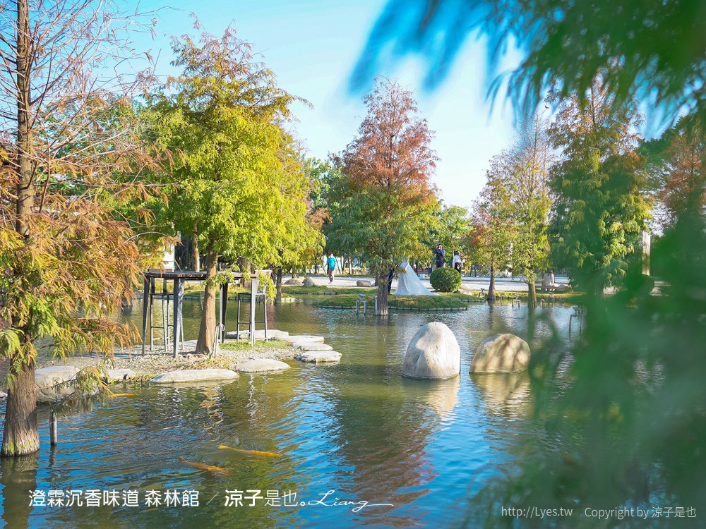 澄霖沉香味道森林館 雲林景點 愛心落羽松 湖畔步道 水之教堂 台版兼六園