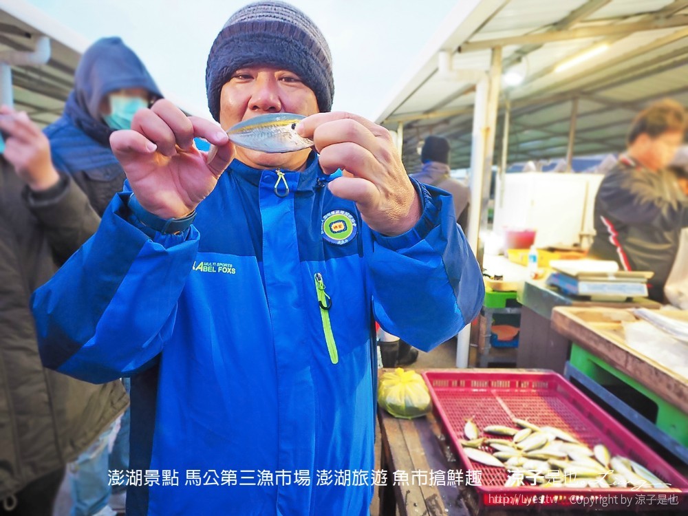 澎湖景點 馬公第三漁市場 澎湖旅遊 魚市搶鮮趣