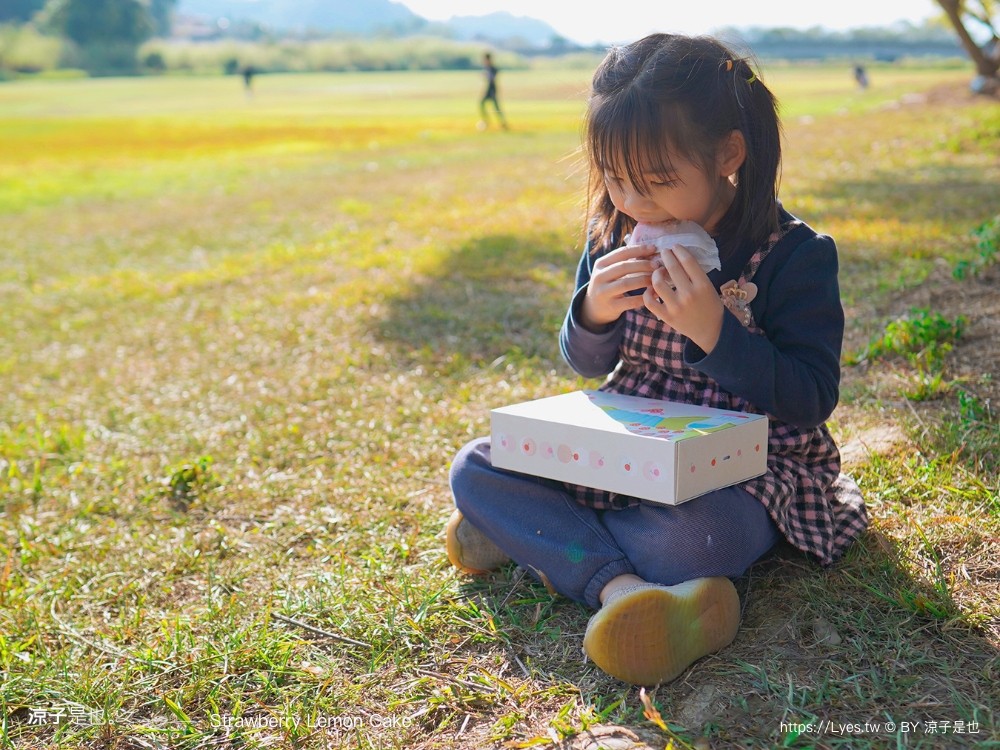 陳允寶泉 草莓檸檬蛋糕 台中伴手禮 台中美食 台中蛋糕 草莓蛋糕 團購美食 年節禮盒