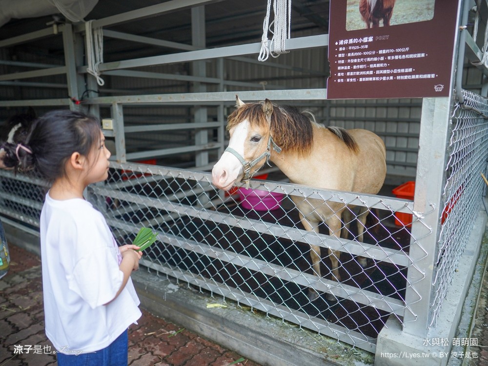 水與松萌萌園 門票 埔里 親子景點 動物園 埔里一日遊推薦 南投農場 羊駝 水豚君 南投景點