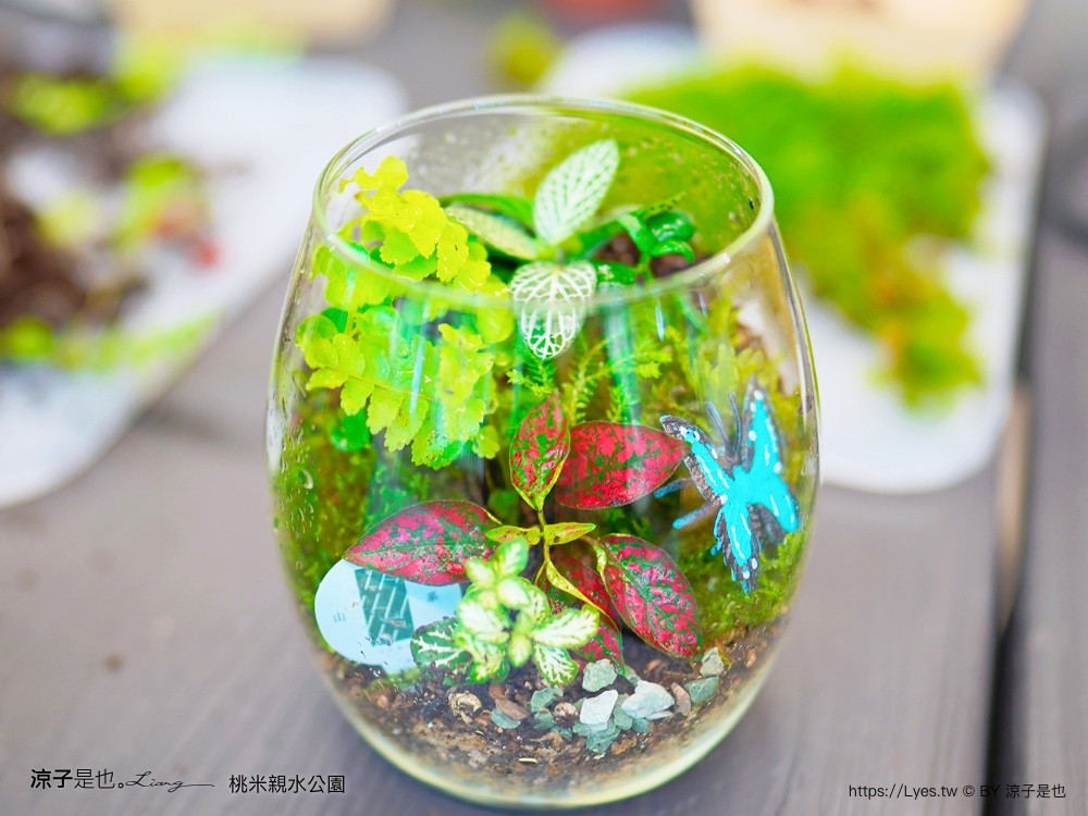桃米親水公園 2024埔里親水節 南投埔里景點 免門票戲水池 親子玩水景點 山系親水公園 親子DIY