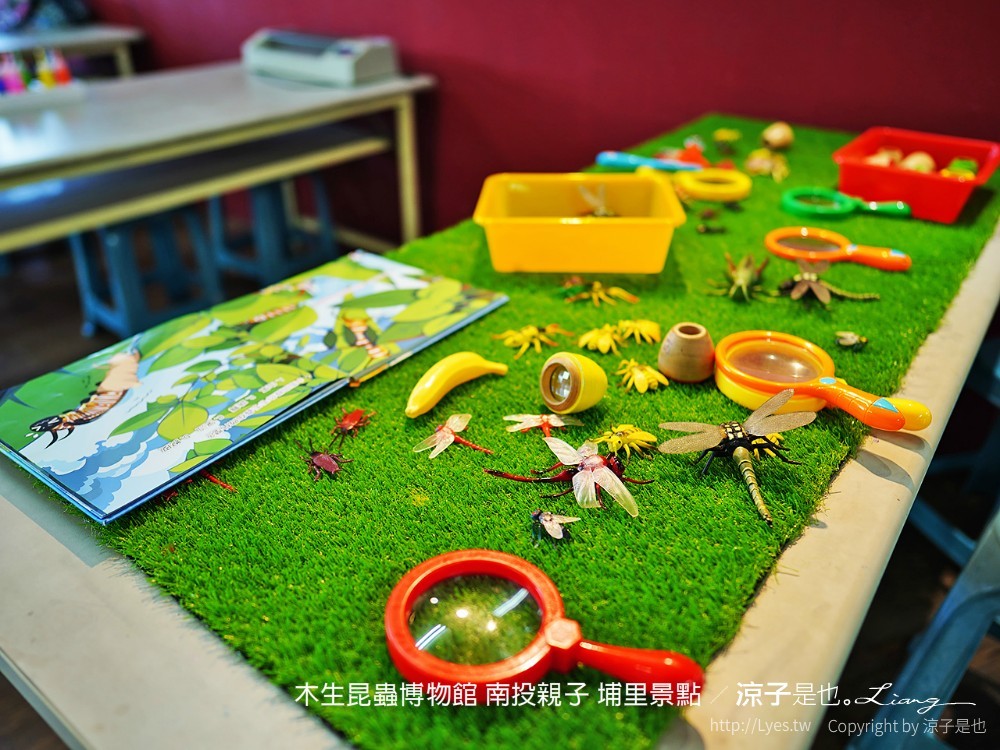 木生昆蟲博物館 南投親子 埔里景點