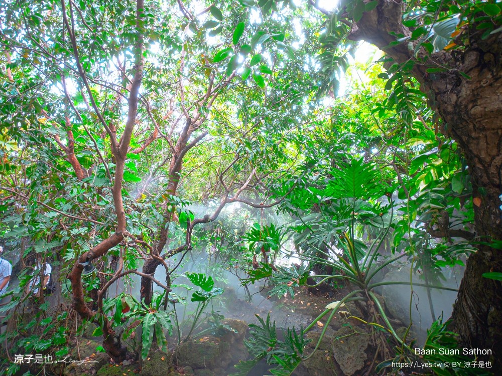 Baan Suan Sathon 泰國曼谷 森林系餐廳 推薦 泰式料理 網美風 交通 下午茶