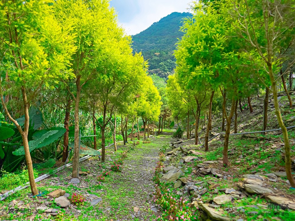 相逢部落 南投豪華露營 價位 懶人露營 一泊三食 調酒無限暢飲 和牛燒肉 龍蝦火鍋 訂房 評價