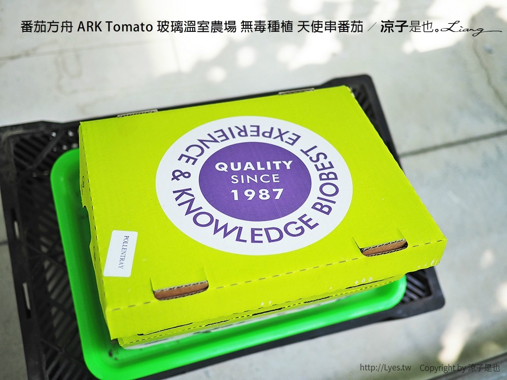 番茄方舟 ARK Tomato 玻璃溫室農場 無毒種植 天使串番茄