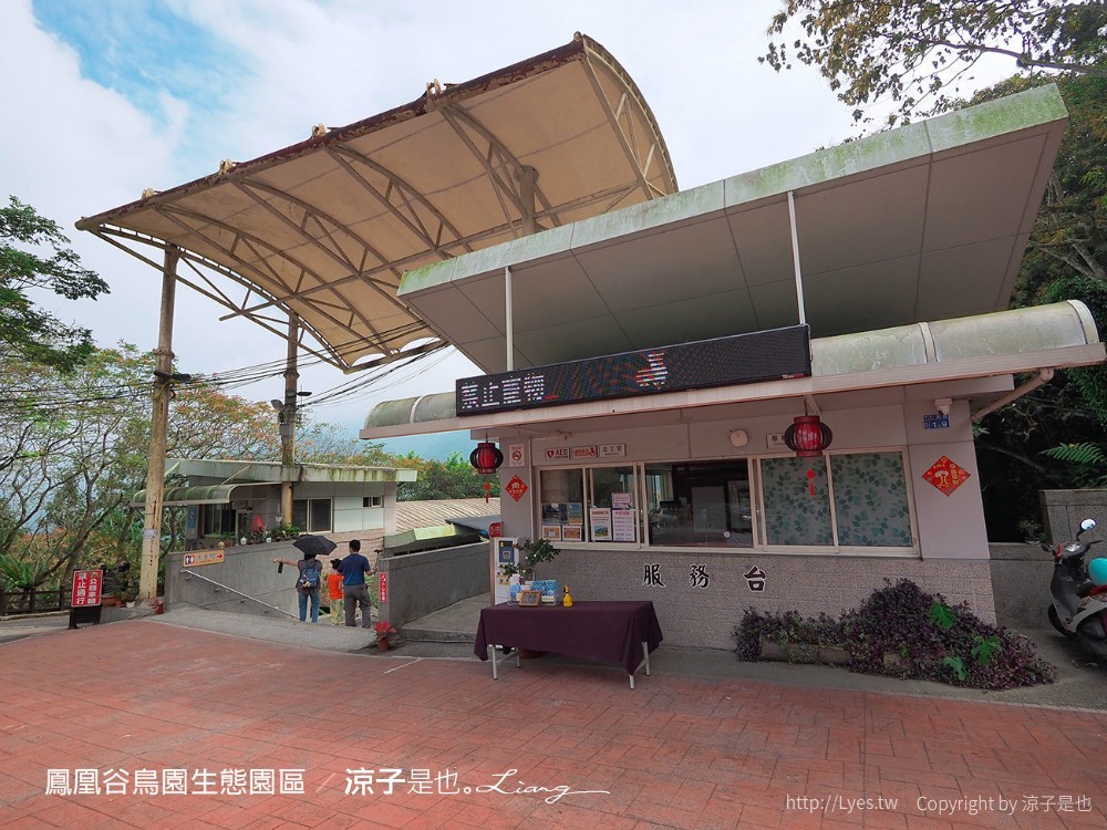 鳳凰谷鳥園生態園區 南投 親子景點 森林溜滑梯 賞鳥 DIY 鹿谷 步道 吊橋 瀑布