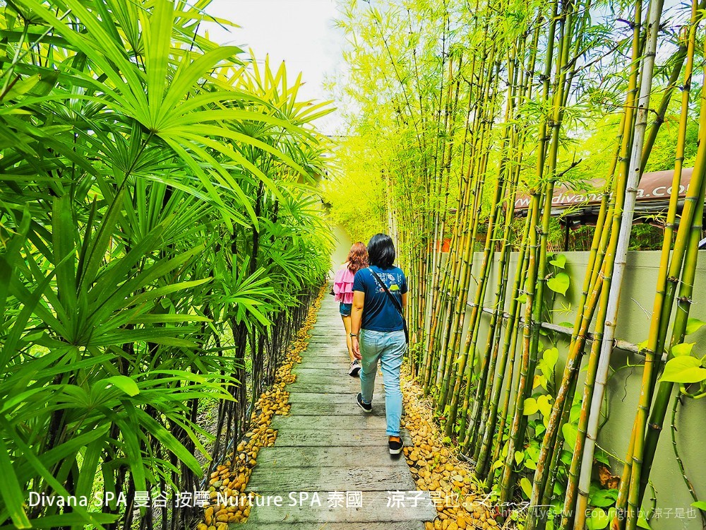 divana spa 曼谷 按摩 nurture 泰國
