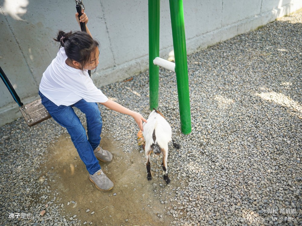 水與松萌萌園 門票 埔里 親子景點 動物園 埔里一日遊推薦 南投農場 羊駝 水豚君 南投景點