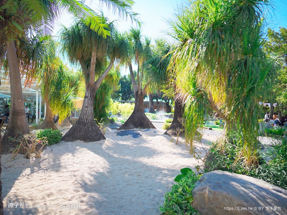 好田森林 菜單 門票 彰化田尾 親子餐廳 親子樂園 恐龍森林 滑草 野餐 玩沙 卡丁車 彰化景點 空中卡丁車