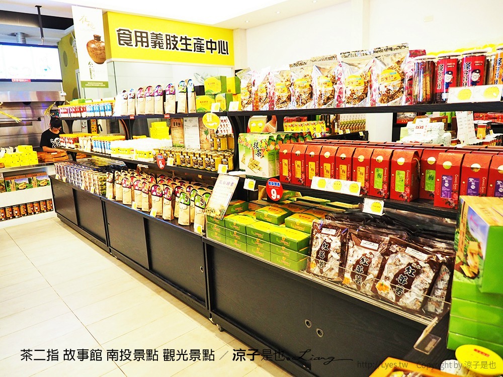 茶二指 故事館 南投景點 觀光景點