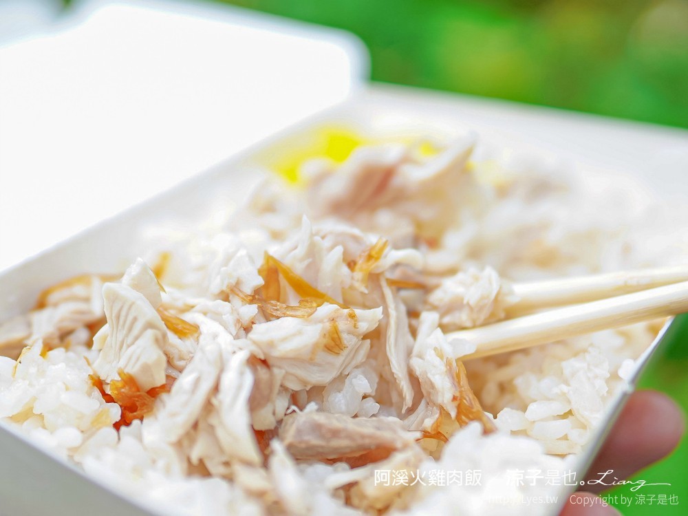 阿溪火雞肉飯 菜單 嘉義小吃 雞片飯 嘉義火車站 餐廳 美食