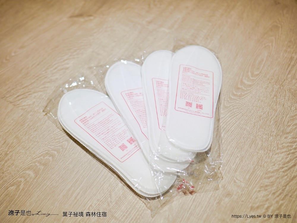 葉子祕境 南投埔里民宿 森林住宿 豪華懶人 netflix disney 日月潭 早餐 晚餐