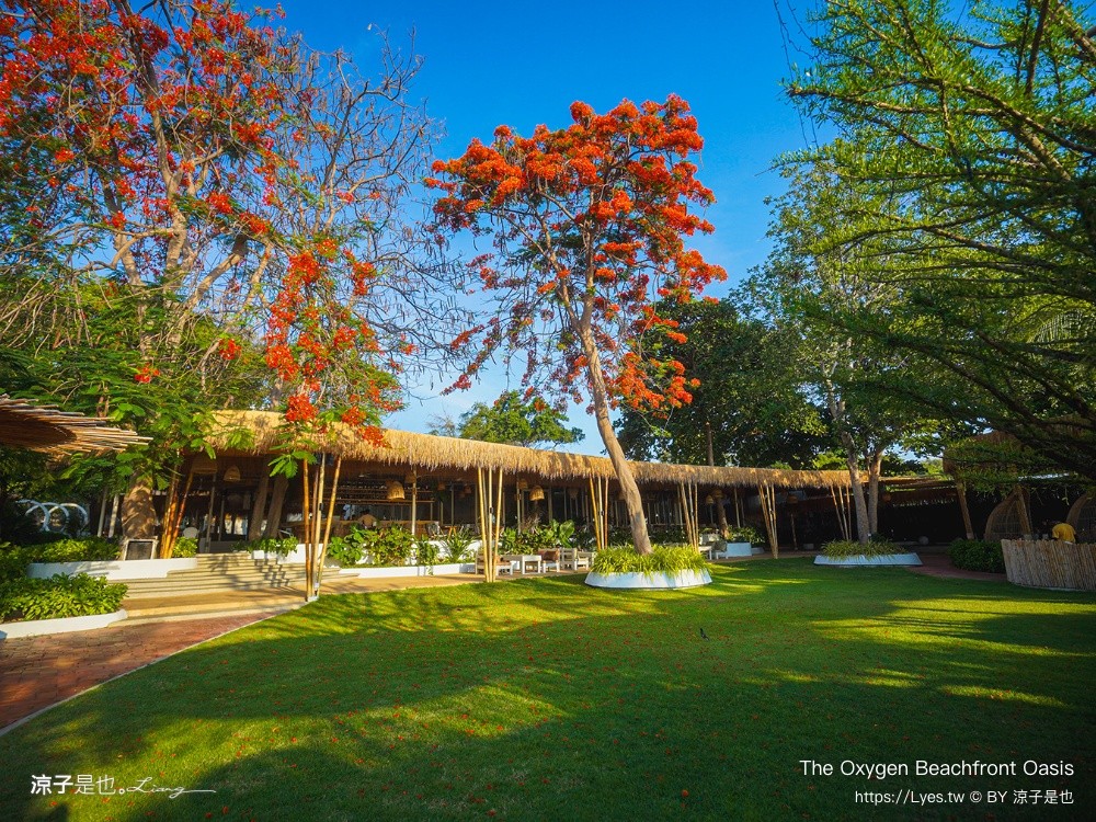 The Oxygen Beachfront Oasis 芭達雅 海景餐廳 芭達雅景觀餐廳 Phuket Restaurant 泰國景點