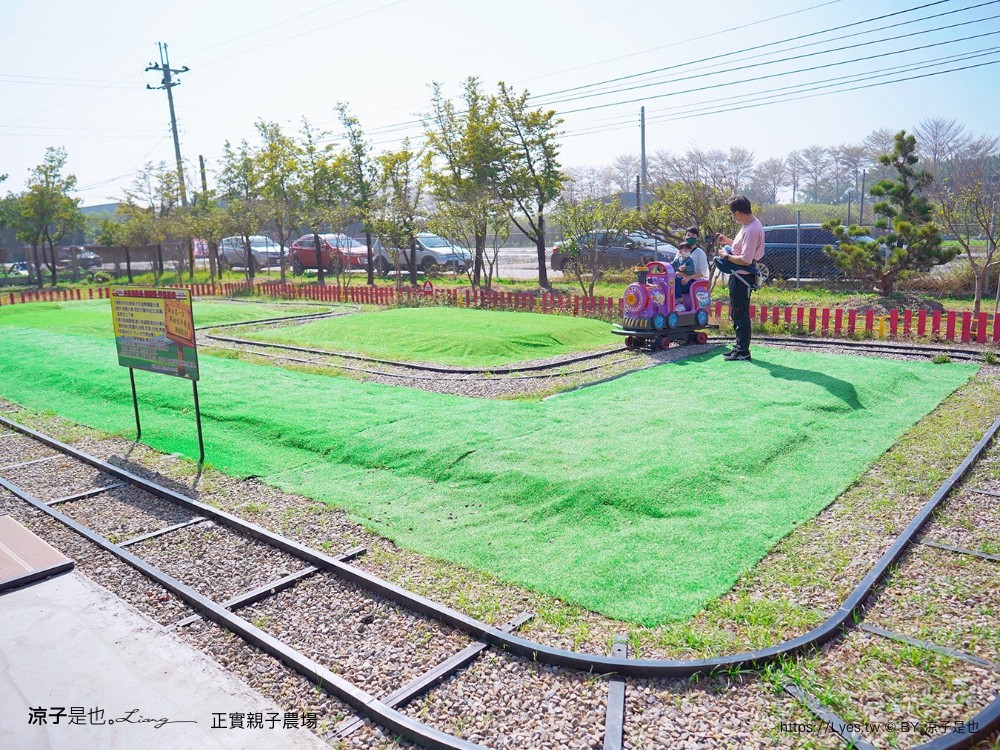 正實親子農場 門票 彰化 親子景點 撿雞蛋 氣墊樂園 溜滑梯 免費 餵小動物體驗 沙坑