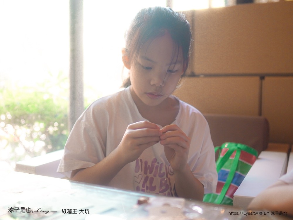 紙箱王 門票收費 台中大坑景點 親子景點 diy 紙箱王小火車 台中一日遊 親子旅遊 台中親子餐廳推薦