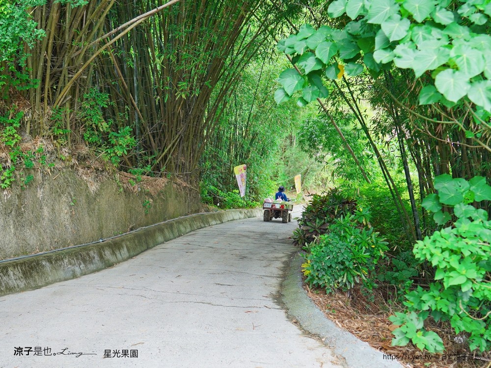 星光 親子景點 免費採果活動 台南農場 台南露營 diy 採芒果體驗 自然的鬥士