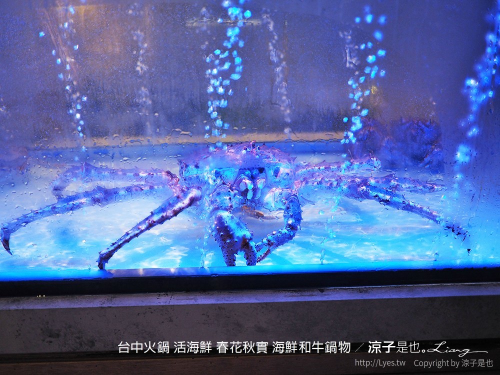 台中火鍋 活海鮮 春花秋實 海鮮和牛鍋物