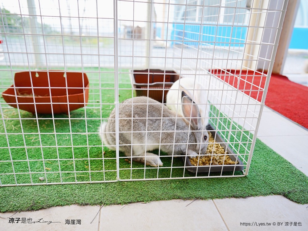 海崖灣 菜單 門票 屏東關山夕陽 墾丁景點 親子景點 墾丁海景 水豚君 草泥馬 笑笑羊