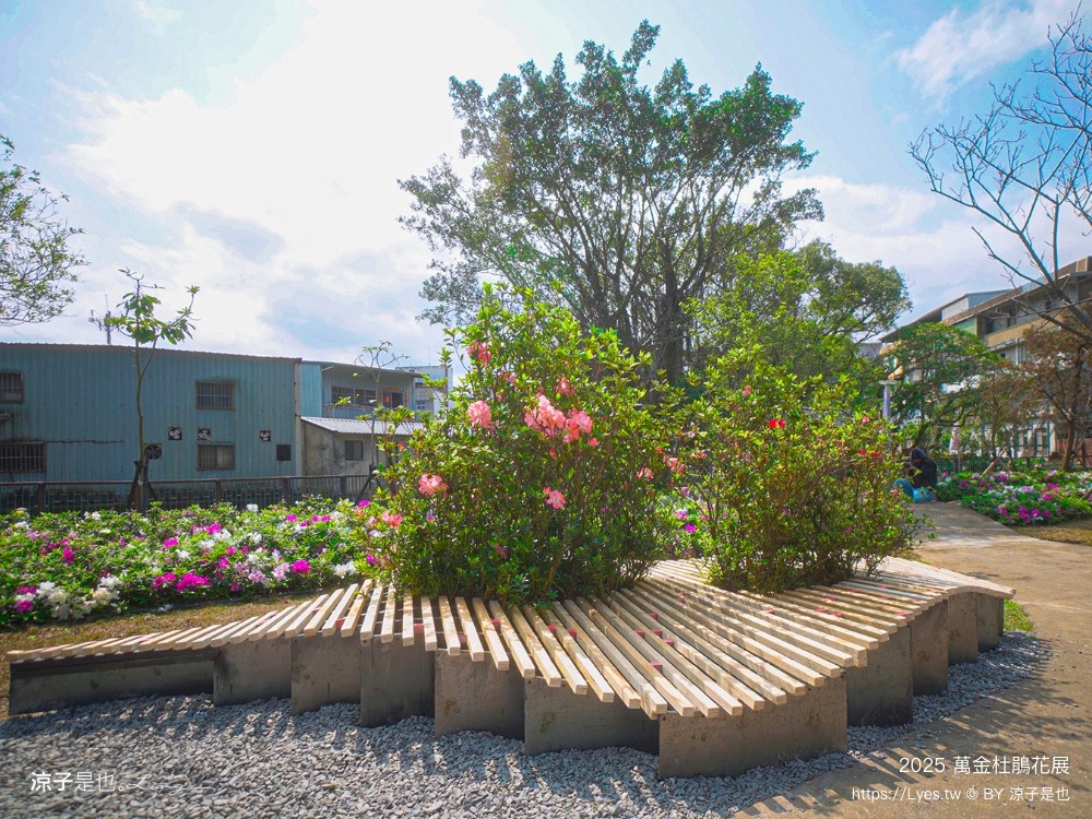 萬金杜鵑花展2025 金山中山溫泉公園 新北景點 北海岸活動 交通 展期 花藝造景 打卡必拍 懶人包