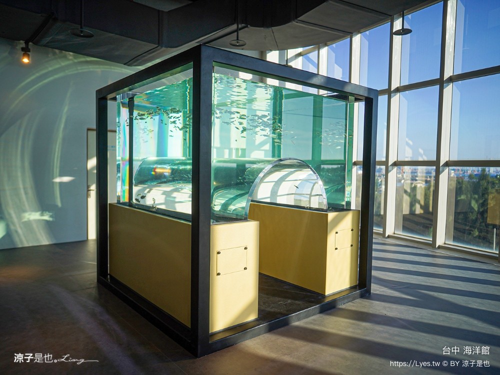 台中海洋館 門票優惠 交通 八大展區 免費票 台中親子景點 台中景點推薦 懶人包 攻略 必看特色