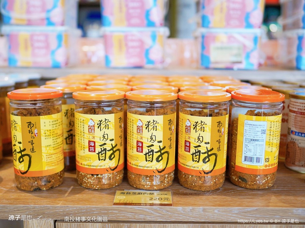 南投名間親子生態園區 南投親子公園 彩虹溜滑梯 盪鞦韆 免門票親子景點 野餐 天空步道 2022重新開幕