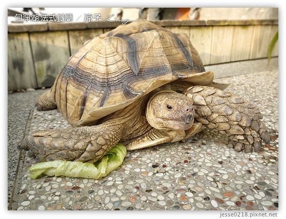 勻淨湖 法式餐廳 2