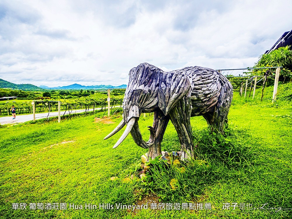 華欣 葡萄酒莊園 Hua Hin Hills Vineyard 華欣旅遊景點推薦