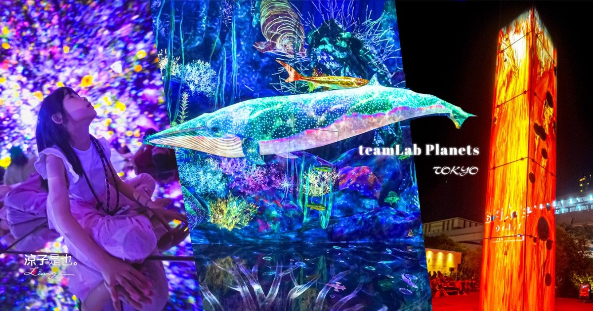 teamLab Planets TOKYO 東京teamLab 豐洲teamLab 東京景點 日本自由行