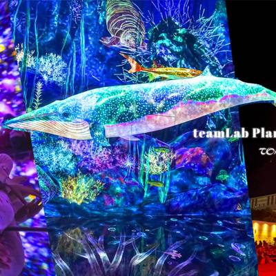 【東京豐洲】 teamLab Planets 沉浸式美術館︱展區必拍亮點x穿搭注意事項 沉浸式藝術展全攻略