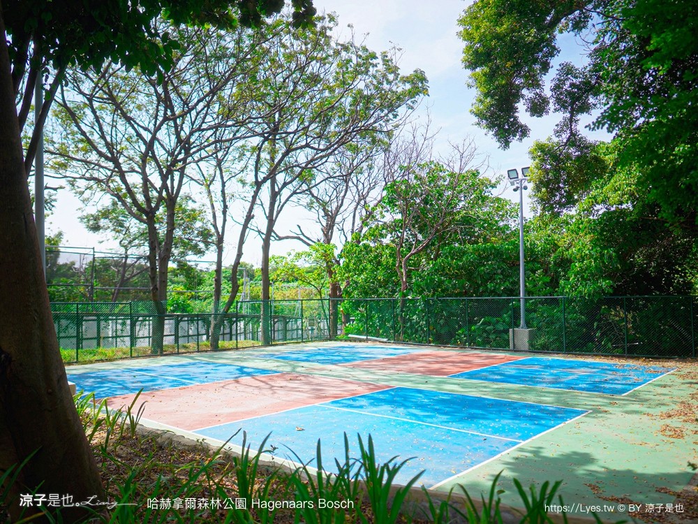 哈赫拿爾森林公園 台南景點 最新公園 森林秘境 開放時間 綠化 生態公園 交通 親子 hagenaars bosch