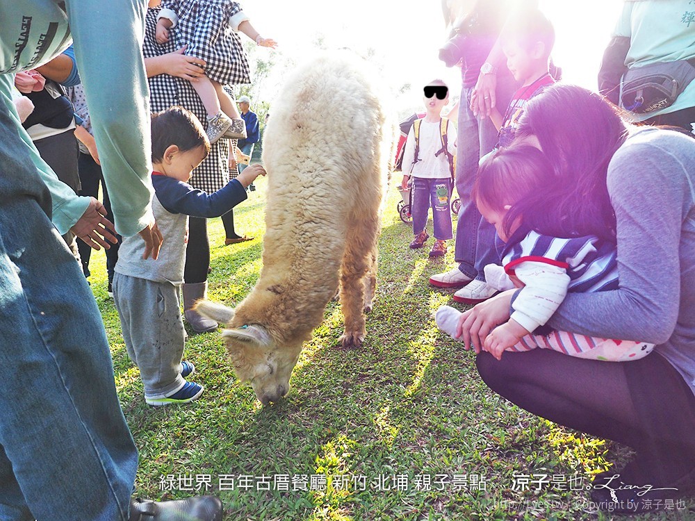 綠世界 百年古厝餐廳 新竹 北埔 親子景點