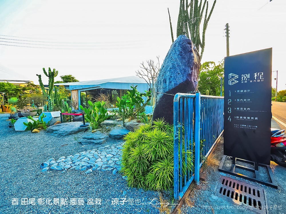 酉 田尾 彰化景點 園藝 盆栽