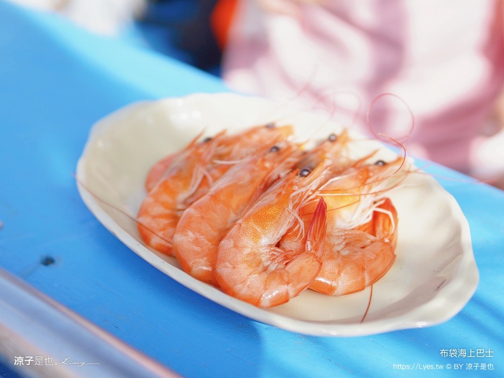布袋海上巴士 嘉義親子景點 門票價格 蛋糕沙灘 網美拍照打卡 生態導覽