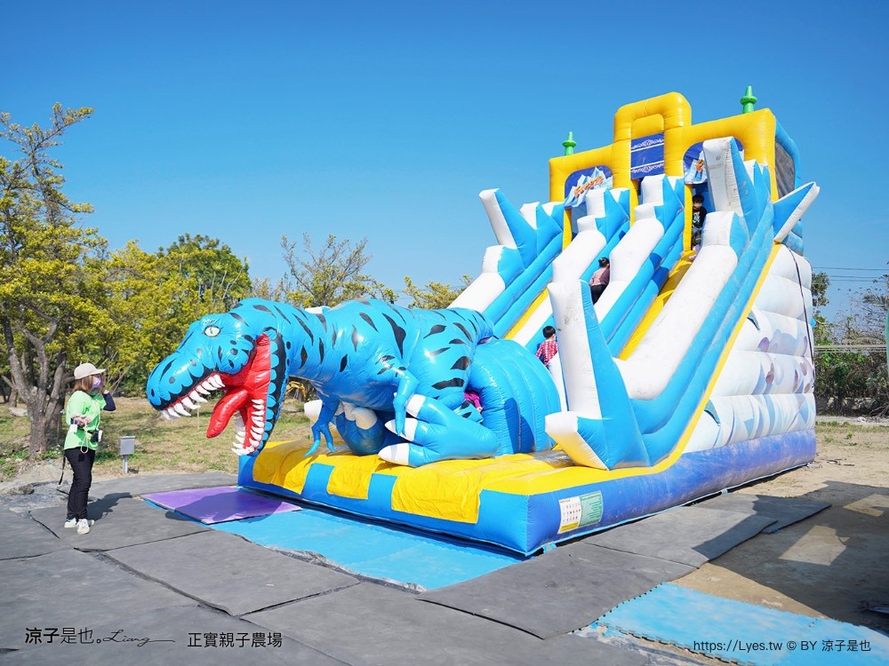 正實親子農場 門票 彰化 親子景點 撿雞蛋 氣墊樂園 溜滑梯 免費 餵小動物體驗 沙坑