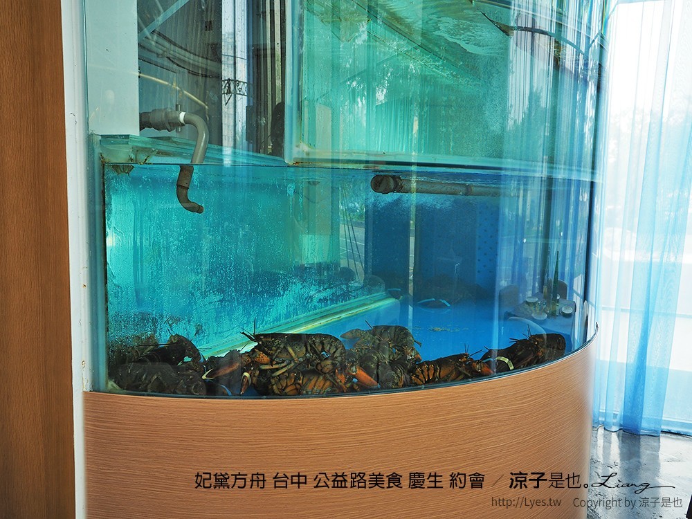 妃黛方舟 台中 公益路美食 慶生 約會