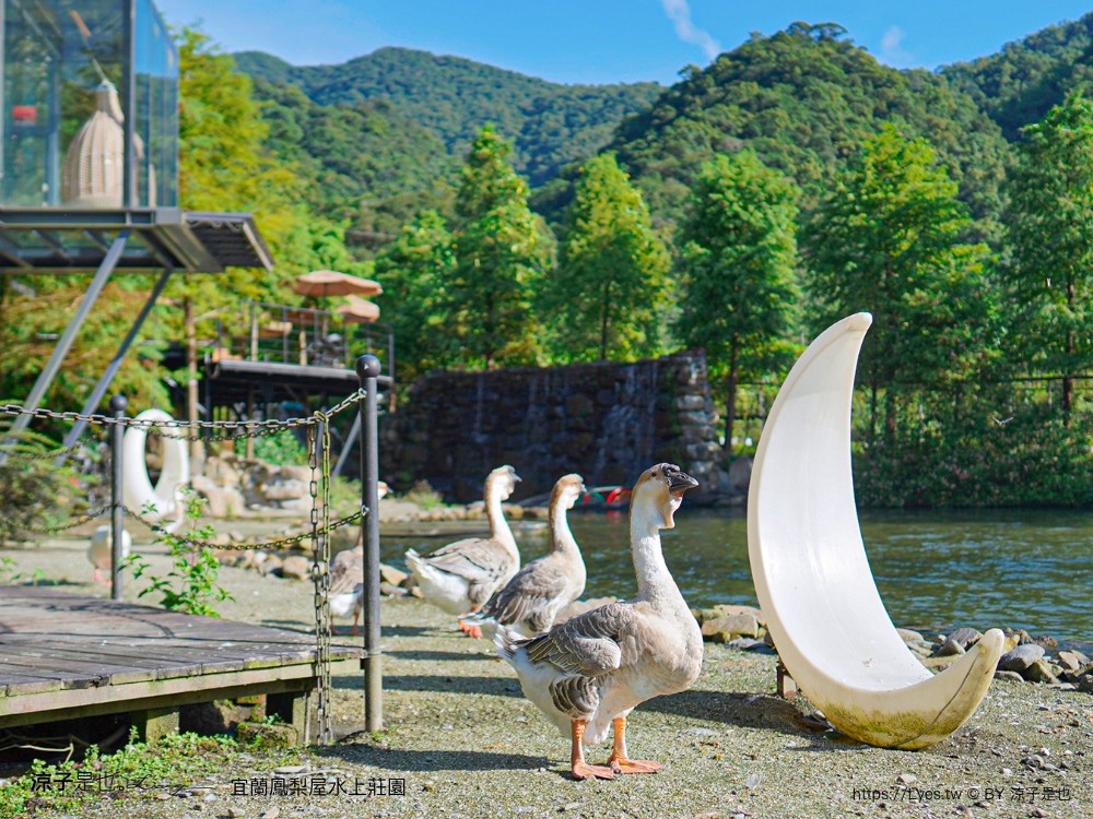 鳳梨屋水上莊 餵羊 早餐 晚餐 帳棚 親子diy