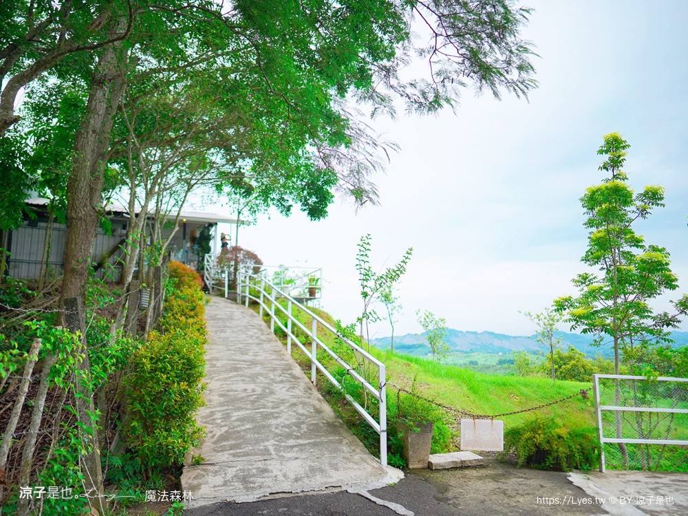 魔法森林景觀咖啡小餐館 菜單 台南景點 玉井景點 魔法森林 天空玻璃步道 台南景觀餐廳推薦