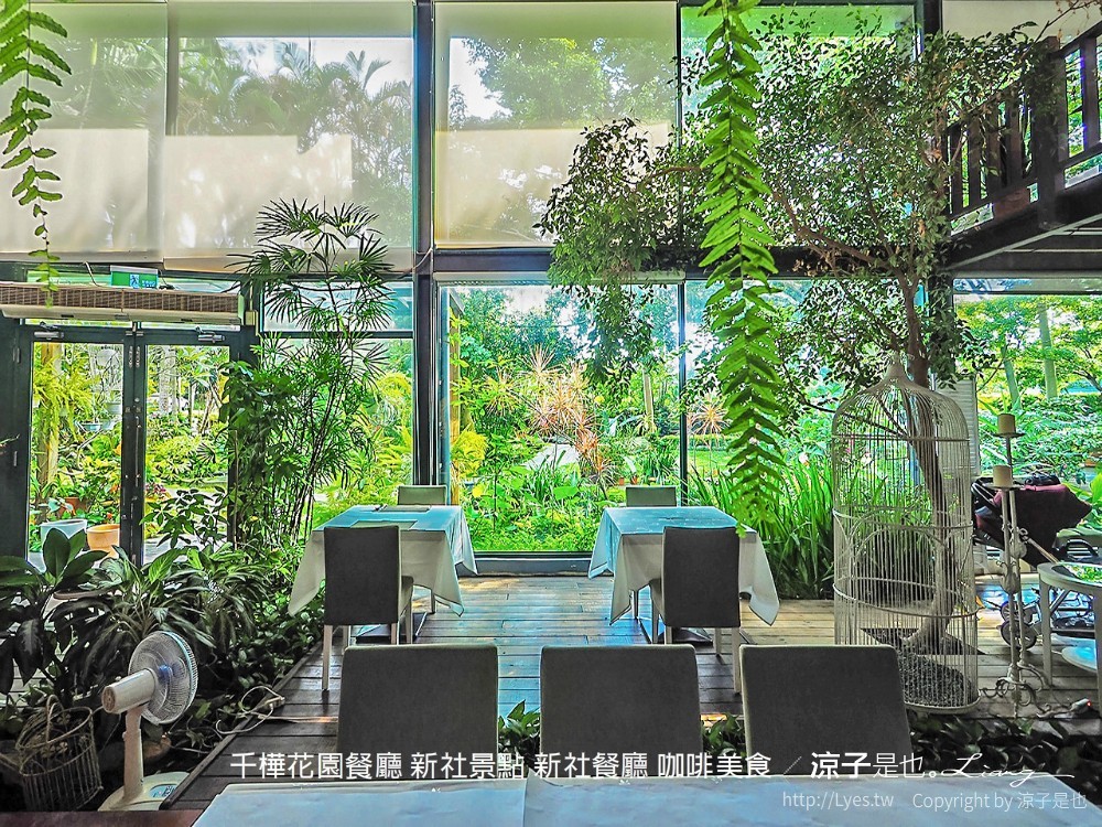 千樺花園餐廳 新社景點 新社餐廳 咖啡美食