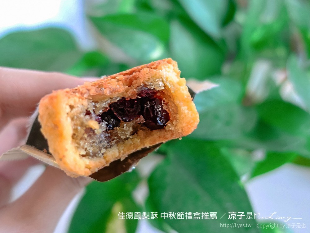 佳德鳳梨酥 中秋節禮盒推薦